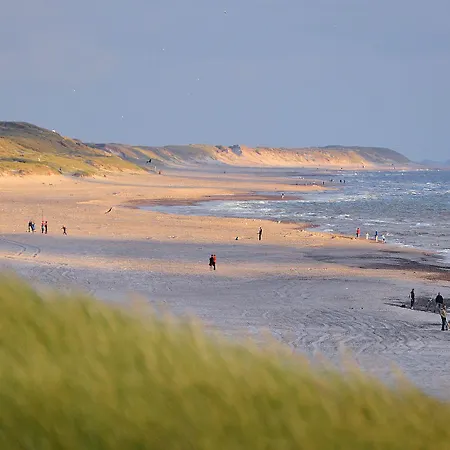 Dancamps Holmsland Hvide Sande