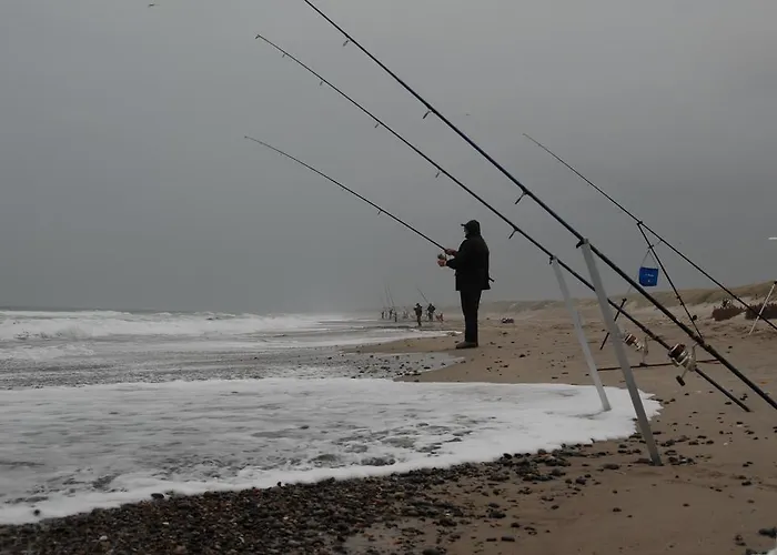 Dancamps Holmsland Camping